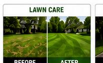 Lawn care before and after result